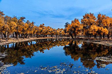 Remedy《心灵杀手2》将添加辅助模式